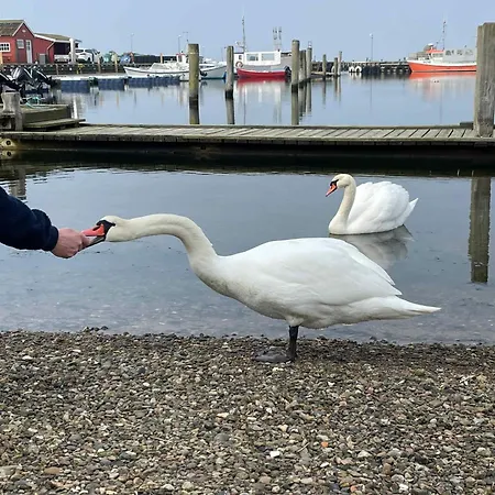 Ferienhaus Spacious Near The