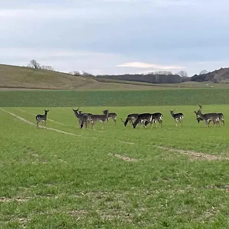 Spacious Near The Feriehus Bagenkop