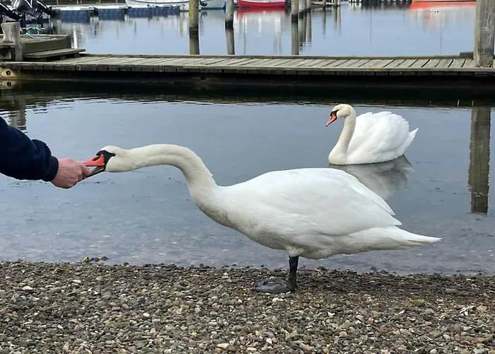 Feriehus Spacious Near The