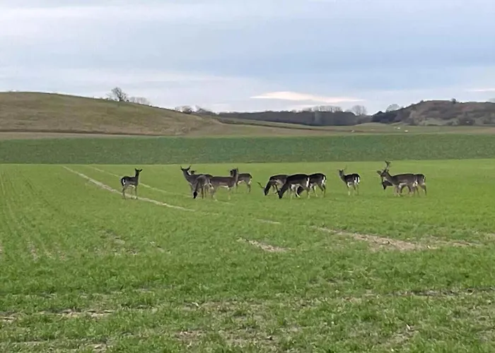 Spacious Near The Feriehus Bagenkop